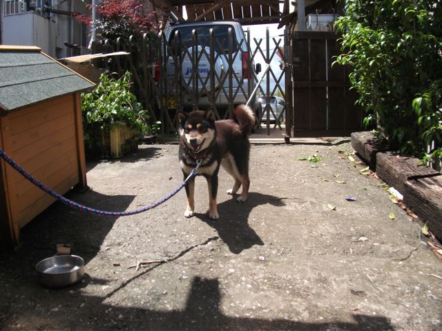 DSCF0407.jpg