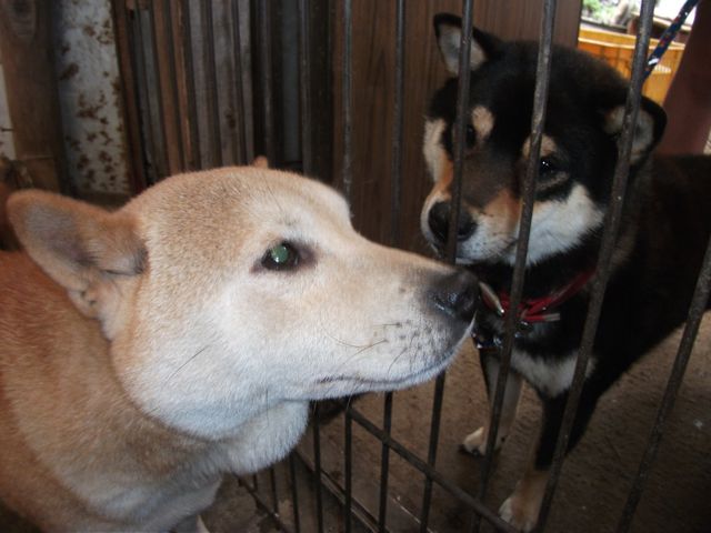 DSCF0424.jpg