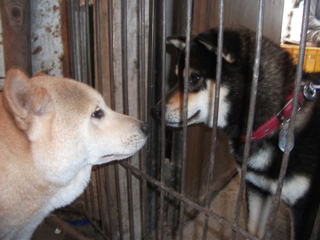 DSCF0426.jpg