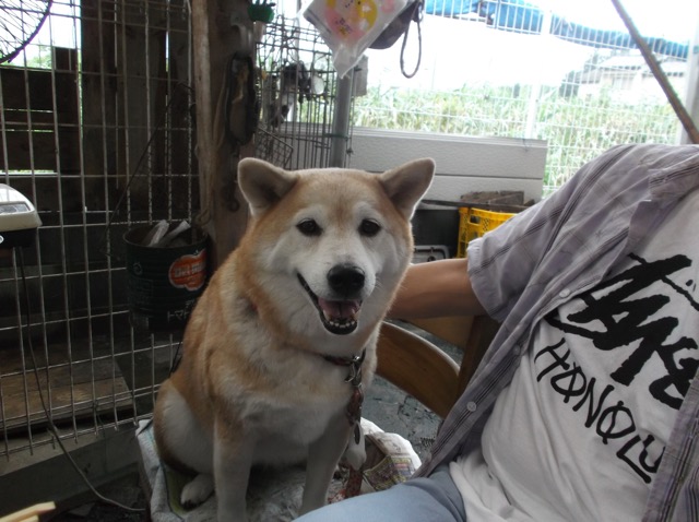 さくら2.jpg