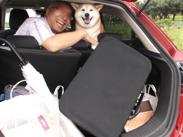 さくら5.jpg