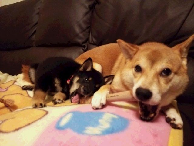 2のい&うい7254.jpg